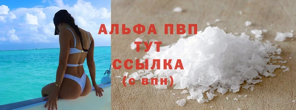 твердый Богданович