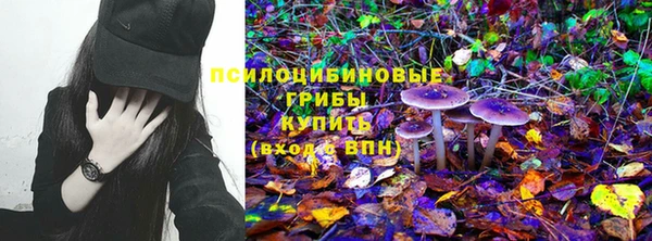 соль ск Вязники