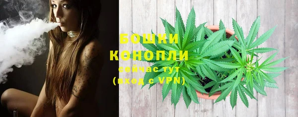 мдпв Волоколамск