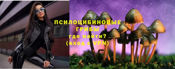МДПВ Вязьма